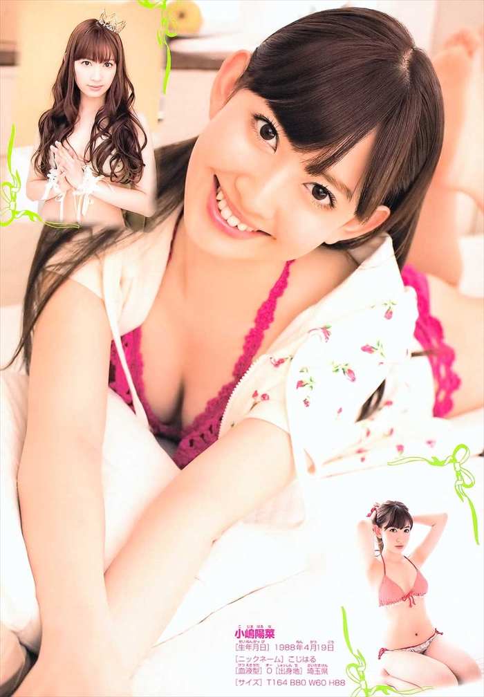 小嶋陽菜のAKB48時代の水着抜けるグラビアエロ画像