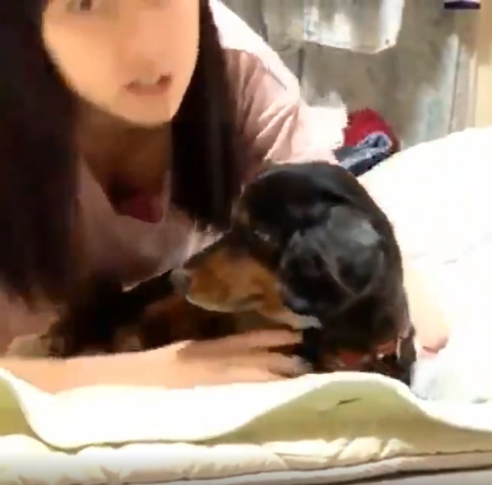 HKT48田中美久の犬のマックスと乳首